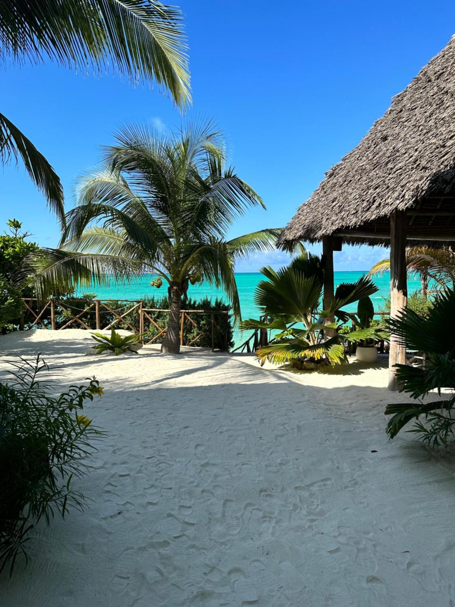 Natural Garden Boutique Hotel Jambiani  Exterior foto